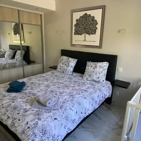 Bas De Composee D'un 3 Pieces Et D'un Avec Piscine Privee Prázdninový dům Villeneuve-Loubet